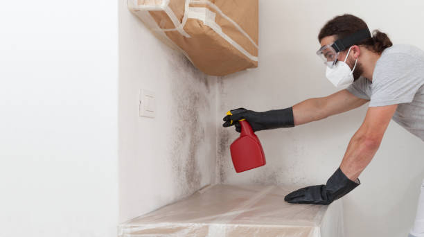 Professional Basement Mold Removal technician working in Dunn, NC