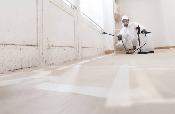 24/7 Emergency Basement Mold Removal experts in Dunn, NC